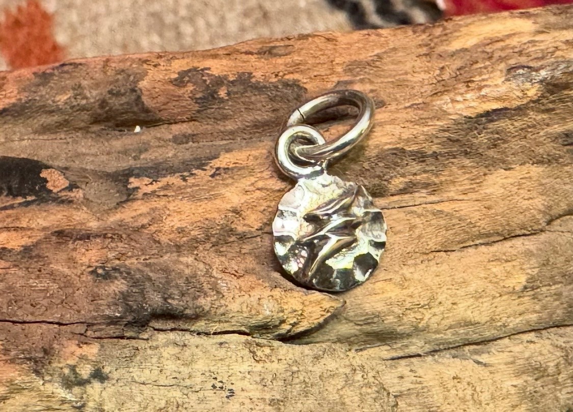 SV Thunders メタルトップ